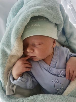 Nemocnice AGEL Šternberk zažila opravdový babyboom. V červenci se zde narodilo nejvíce dětí za posledních 20 let 